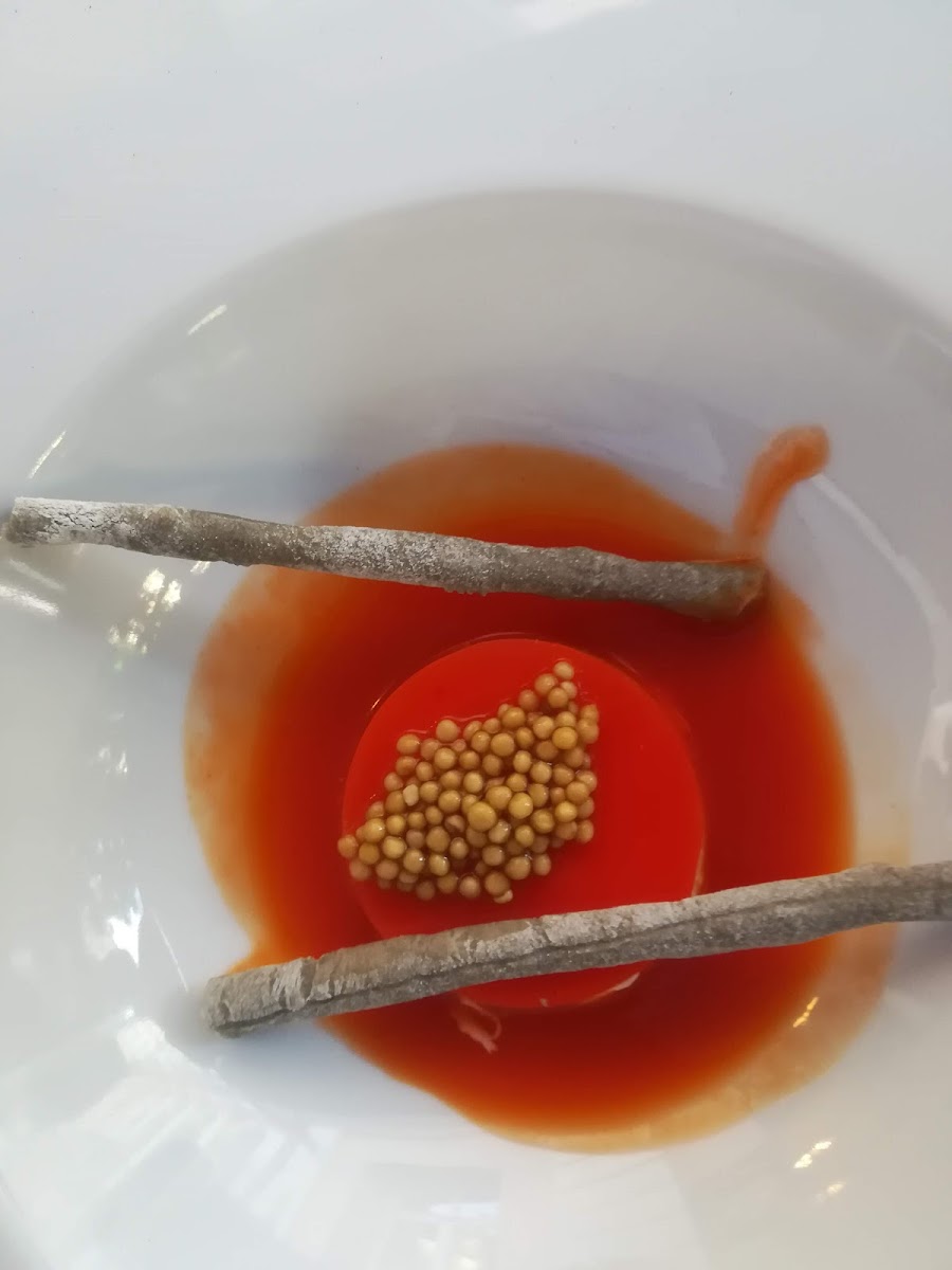 Restaurace Tusculum-6